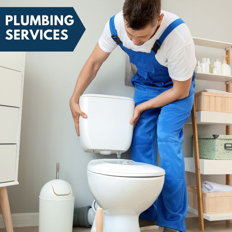 Plumbing Company in Cedarville, MI